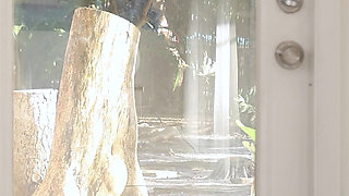 The Perfect Ass, Enjoy