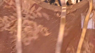 Party Grwm Leopard Outfit, Heels & Accessories