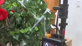 Tess Sucks Bryan's BBC with Sloppy Wet Technique Fast!