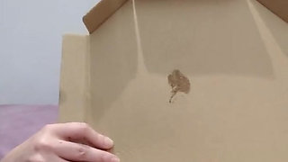 The girth - Thick cock - Big Pizza cumshot