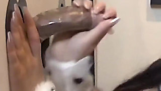 Public Gloryhole Cosplay - Cheri Takes All the Old Mens Cocks