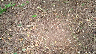 Slut Wife Portia Wells Gets Covered in Cum From Sucking off Horny Older Doggers in the Woods