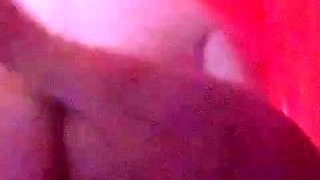 Adventure with Trans