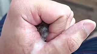 Big Dick Gone Wild