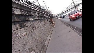 This Beautiful Busty Girl Masturbates on the Street and Gives a Blowjob at Home