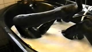 Amateur cd in latex masturbating dildoing