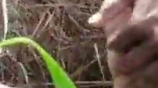 Student of Tha Jungal Hot Desi Girl Xvideo Hindi Language