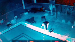 Amateur Webcam Couple Blowjob