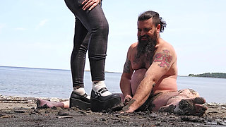 Gaspesie Cock Trampling