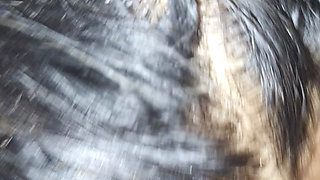 Sweet Tinder Booty Latinas Slaves