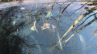 He's Watching Again Strangers Naughty Grin