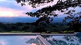 Shemale tranny solo masturbation scene