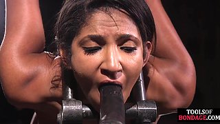 Big-Ass Submissive Babe Thrills Under Master’s Exciting Control