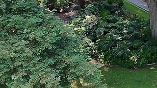 Bts Public Affair Vol.2 Petite Latina Babe Alexa Chains Exclusive Cumshot Beverly Hills Bus Stop