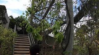 Cute Asian GF big ass anal fucking