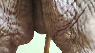 Yes Sir I Will Unstop Your Toilet but Watch What I Do with This Nasty Plundger