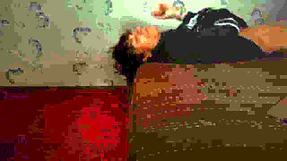 Rib and Bones for Thinness Lovers