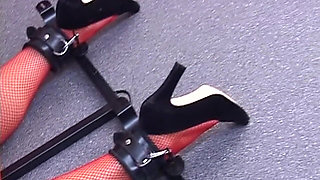 Bound Mature Sluts Get Every Hole Used Hard