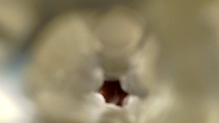 d1ll1nger - FLESHLIGHT - 2026-01-31