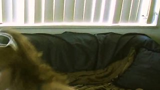 Big boob beauty tit fuck and cock riding