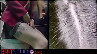 Vs Lana Harding. Who Will Be Crowned The Blowjob Queen?