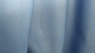 Swallow in the Shower