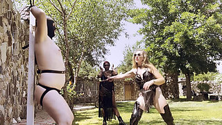 MIND SHAPED TO THE RHYTHM OF THE WHIP