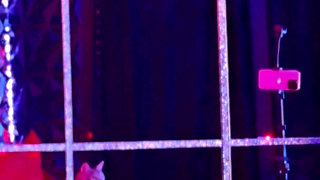 Slippery When Desired