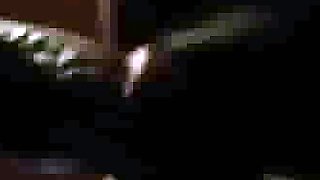 Submissive Wife the Bed Free Hardcore Porn hh