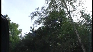 Perfcet blonde German doll fucked in the trunk of her car in the woods