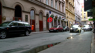 Calipornication! Horny Pussies Are Into Rich Cocks! Seduction and Sex! Horny Sluts Get Fucked.