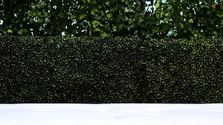 Leann amateur beautiful brunette with big boobs