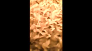 Daddy and Son Bareback