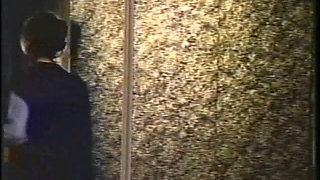 Kay Parker & Marc Wallace