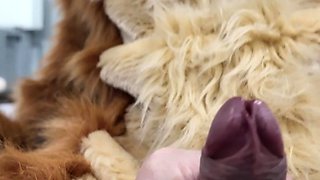 Femdom busty nurses get a cumshot after pov fetish handjob