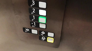 Life Porn Stories 11 - Part 5 Selfie with a Cock