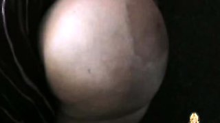 Bustys Cam Webcam Big Boobs Free Big Boobs Cam Porn Video