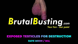 Exposed Testicles Directly for Destruction! Balls Speedbag - Dave Moon - Mia - Bbusting (ballbusting)