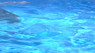 Lesbian Girls Are Having Fun in a Pool with an Inflatable Shark