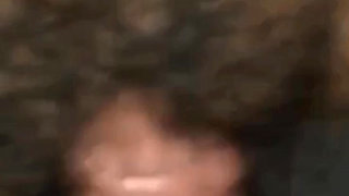 Album Collection 2025