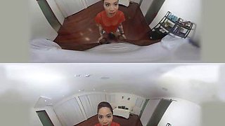 VR HG-2: Blowjob, Doggy  Cowgirl Porn