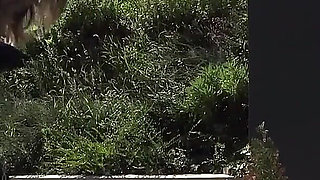 Let's Go for a Walk - Part1