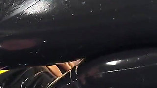 Swimming in Piss 1: Training Pig to Swallow Every Drop