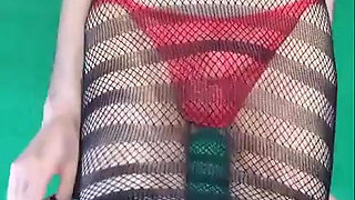 Fishnet Dress with and Without Some Panties