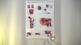 Penis Problems Clinic - Raunchy FemDom Humiliation Medical Comedy