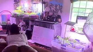 Ebony girls caught masturbating Black and Ebony