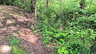 Red Breasts in the Forest