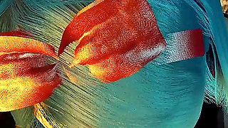 A Different Gift Under the Tree