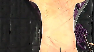 Whips for the Slavesass