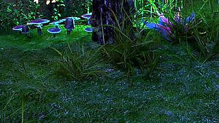 Love Season 25 - Naked Mia and Nova Invite Alex to Their Tent After Lake Bath